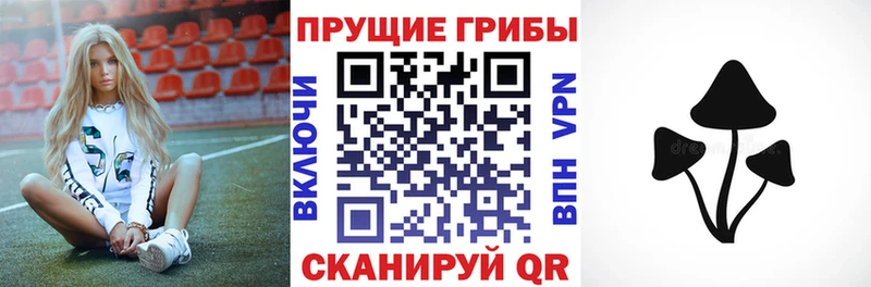 Псилоцибиновые грибы Psilocybe  купить наркотик  Кондрово 